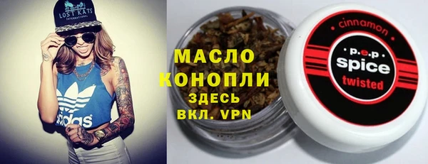 шишки Сатка