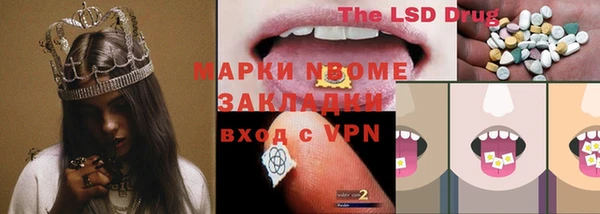 шишки Саяногорск
