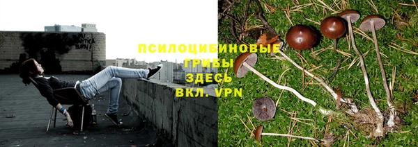 твердый Алексин