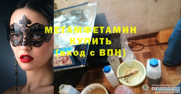 шишки Сатка