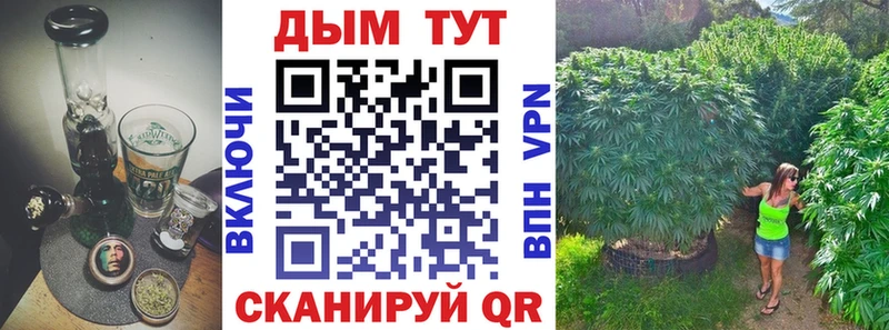 даркнет сайт  Ветлуга  Каннабис план 